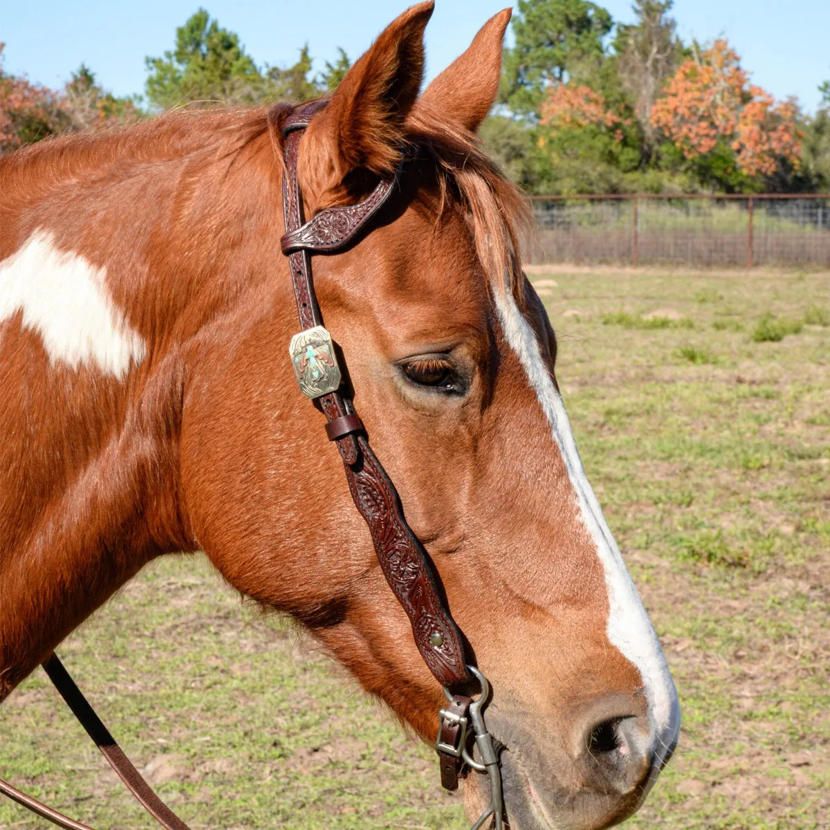 Circle Y Great Oak Thunderbird One Ear Headstall - Coffman Tack