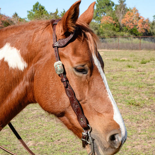 Circle Y Great Oak Thunderbird One Ear Headstall - Coffman Tack