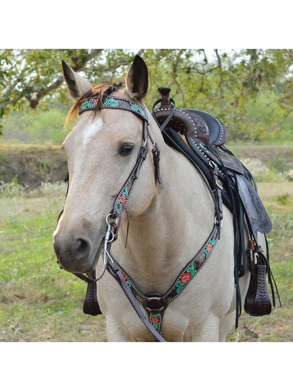 Circle Y Cactus Filigree Browband Headstall - Coffman Tack