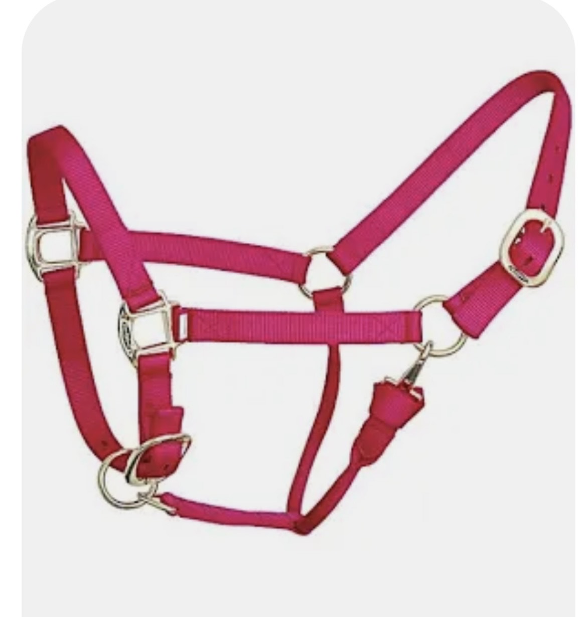 Reinsman Nylon Halter Dark Raspberry