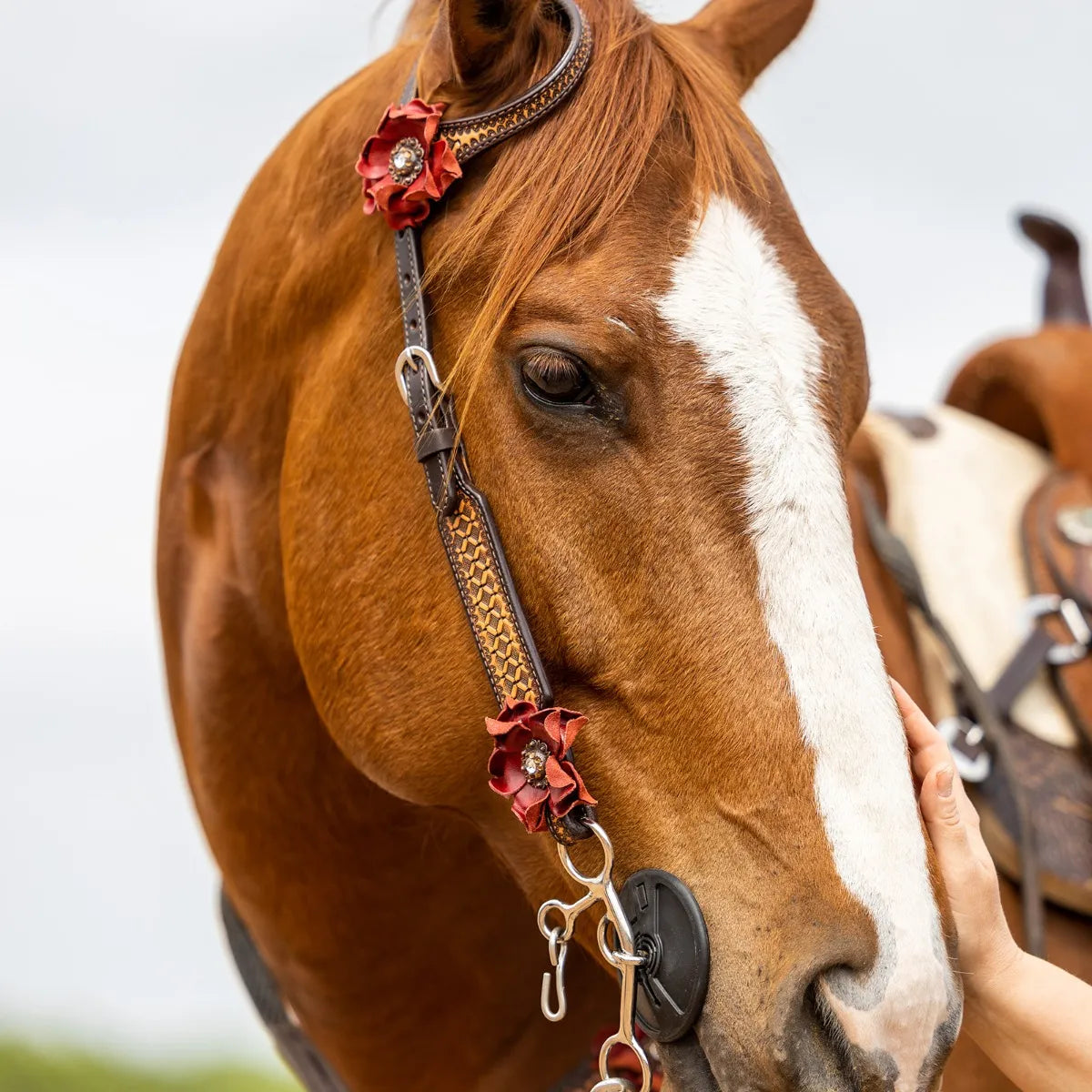 Circle Y Sarah Rose One Ear Headstall - Coffman Tack