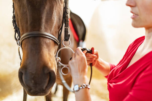 Exploring the Different Styles of Horse Bits