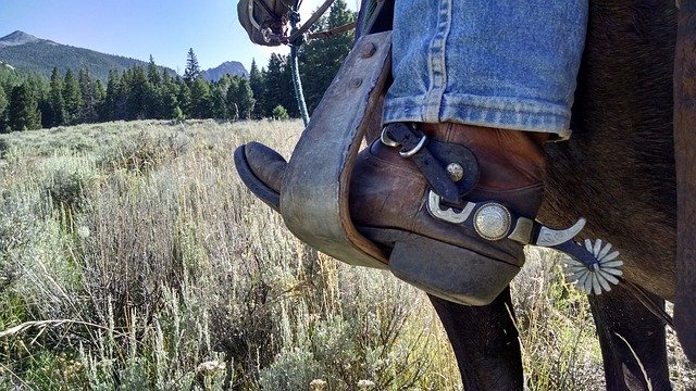 Sharp Riding Spurs Understanding the Different Types of Spurs in Horseback Riding ...