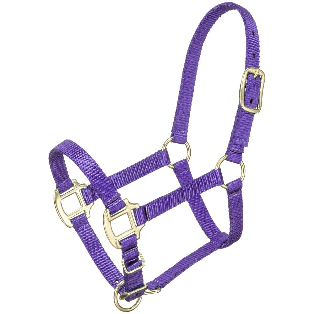 Tough1 Premium Halter- Miniature - Coffman Tack