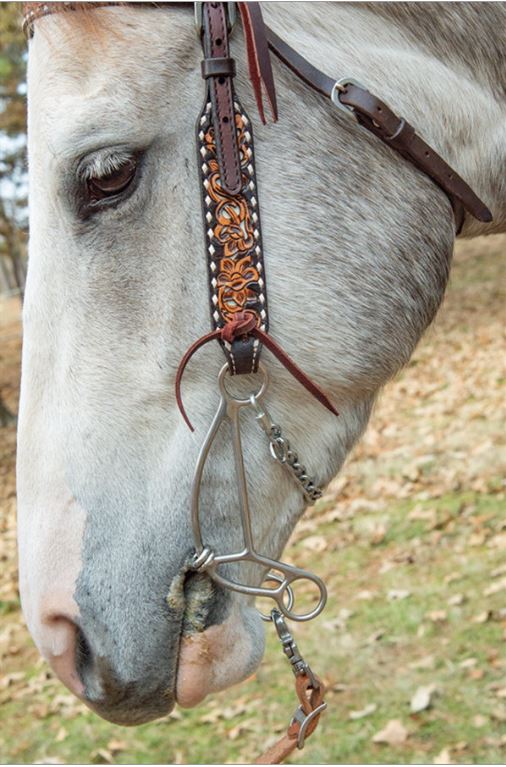 Josey Short Shank Banana Gag Bit