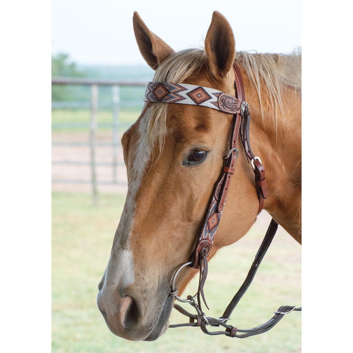 Circle Y Flat Infinity Beaded Headstall