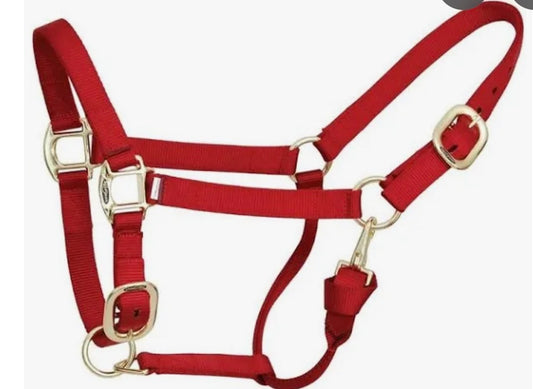 Reinsman Nylon Halters Red