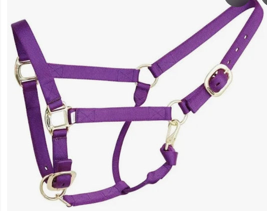 Reinsman Nylon Halter Purple
