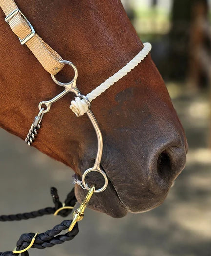 NEW!! Martha Josey Million Dollar Hackamore Short Shank